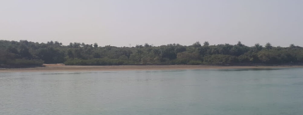 Bubaque Travel Forum Reviews