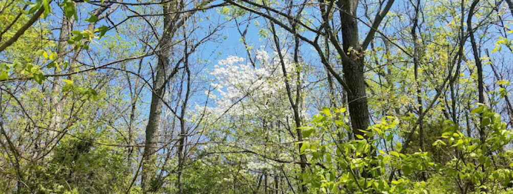 Buckley Wildlife Sanctuary Travel Forum Reviews