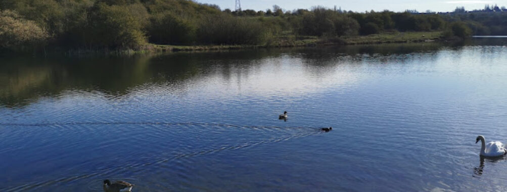 Buckpool and Fens Pool Local Nature Reserve Travel Forum Reviews