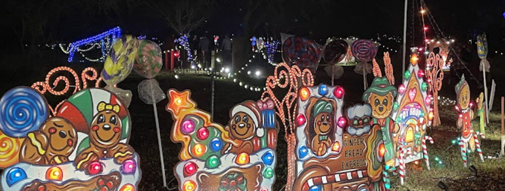 Buda Trail of Lights Travel Forum Reviews