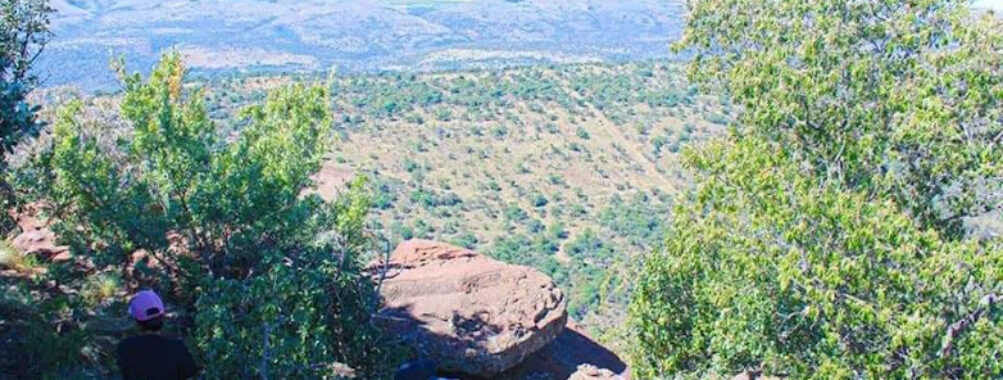 Buffalo Gorge Travel Forum Reviews