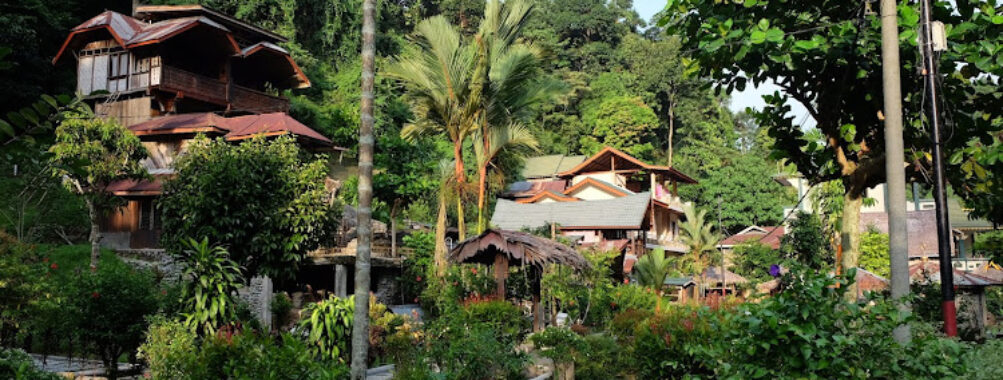 Bukit Lawang Ecotourism Travel Forum Reviews
