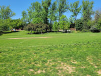 Bullis Local Park Travel Forum Reviews