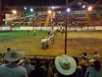 Bullring Travel Forum Reviews