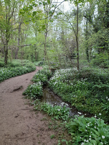 Bulwell Hall Park