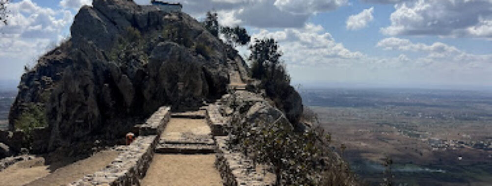 Bunda Mountain Travel Forum Reviews