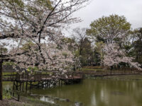 Bunko no Mori Park Travel Forum Reviews