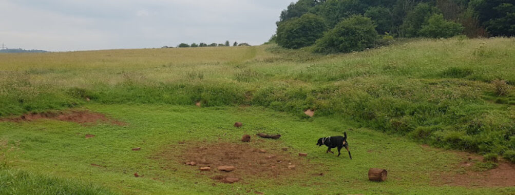 Bunny Hill Travel Forum Reviews