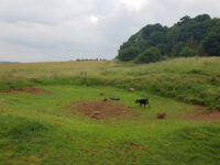Bunny Hill Travel Forum Reviews