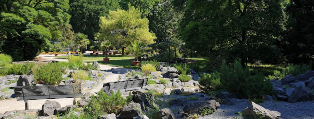 Bunter Garten Travel Forum Reviews
