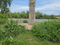 Burcham Park Travel Forum Reviews