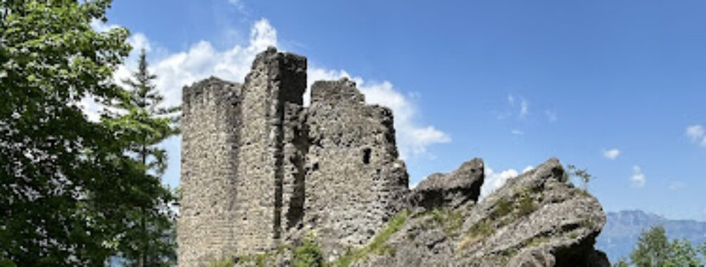 Burg Schalun (Wildschloss) Travel Forum Reviews