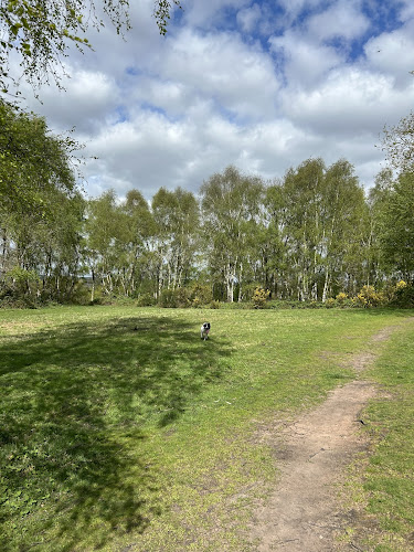 Burlish Top Nature Reserve