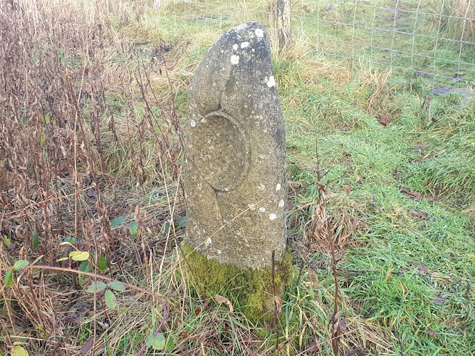 Burnley Way Stone Carvings