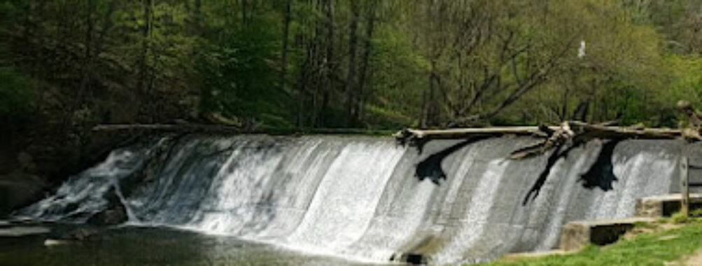 Burnt Mills East Special Park Travel Forum Reviews