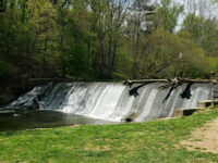 Burnt Mills East Special Park Travel Forum Reviews