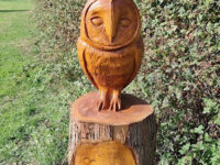 Burton Mail Centenary Woodland Travel Forum Reviews