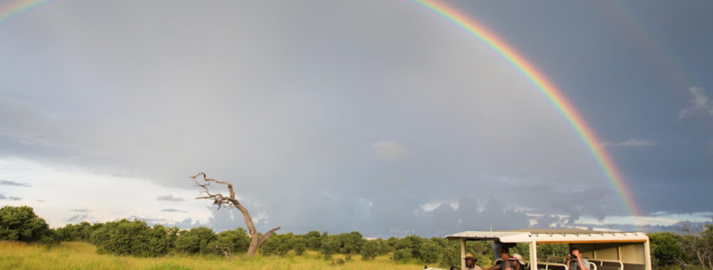 Bush Ways Safaris Travel Forum Reviews