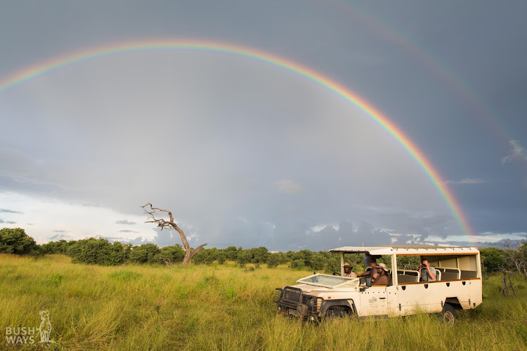 Bush Ways Safaris