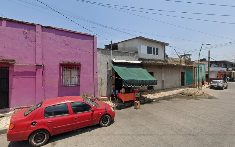 Busse tijuana