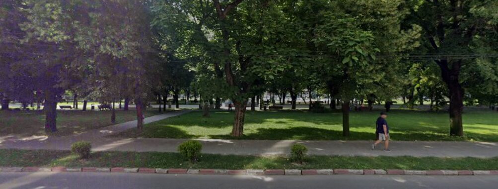 Bustul Smarandei Gheorghiu Travel Forum Reviews