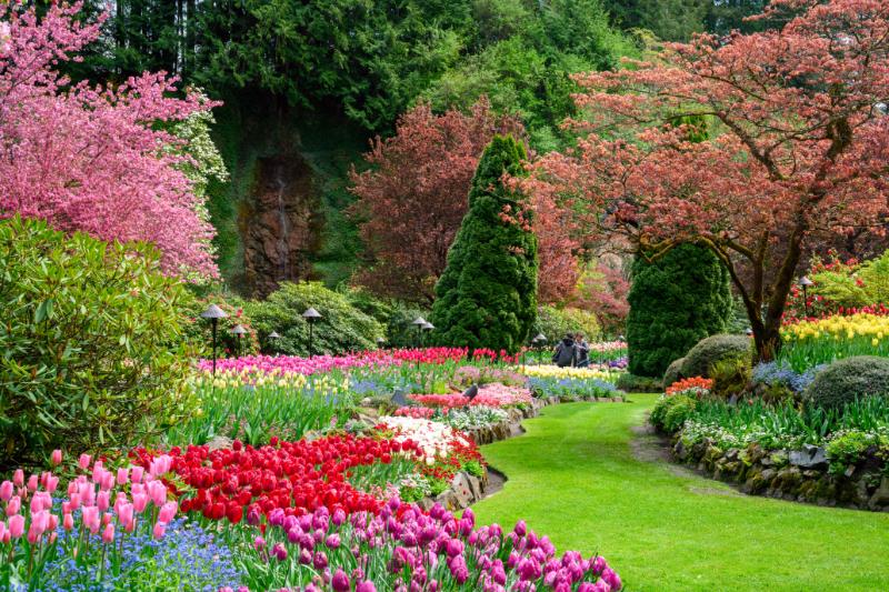 7 Stunning Botanical Gardens to Visit This Fall 7 Stunning Botanical Gardens to Visit This Fall