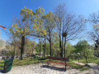 Butte Saint-Nicaise Park Travel Forum Reviews