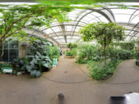 Butterfly Pavilion Travel Forum Reviews