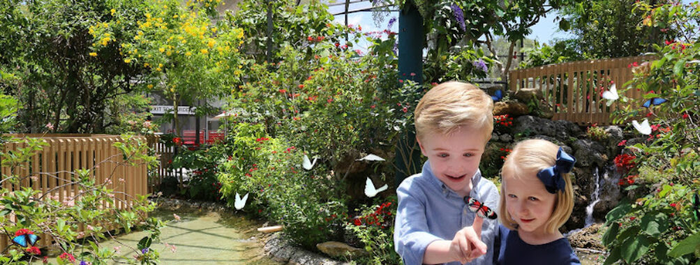 Butterfly World Travel Forum Reviews