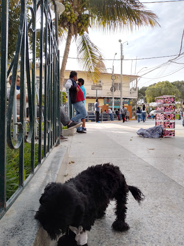 CENTRAL DE PAITA Park