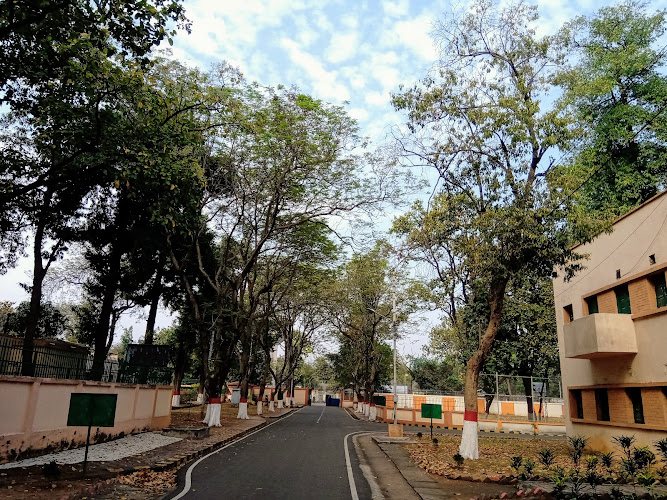 CMERI Colony