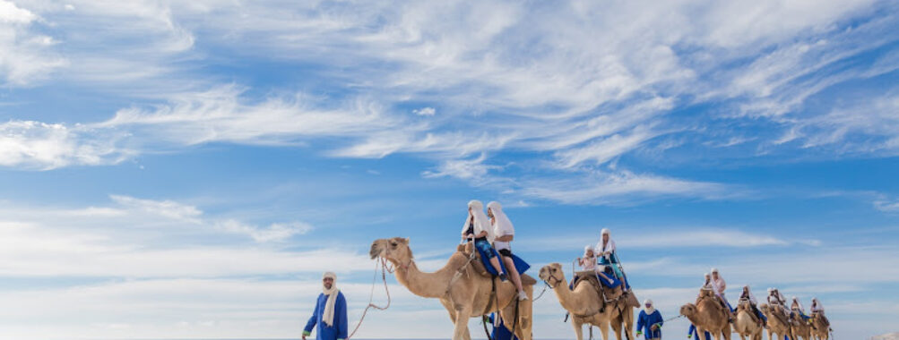 Cabo Adventures Travel Forum Reviews