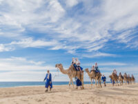 Cabo Adventures Travel Forum Reviews