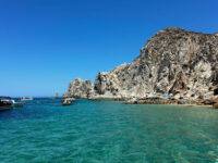 Cabo Dream Yacht Travel Forum Reviews