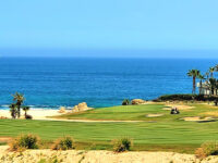 Cabo Real Golf Club Travel Forum Reviews