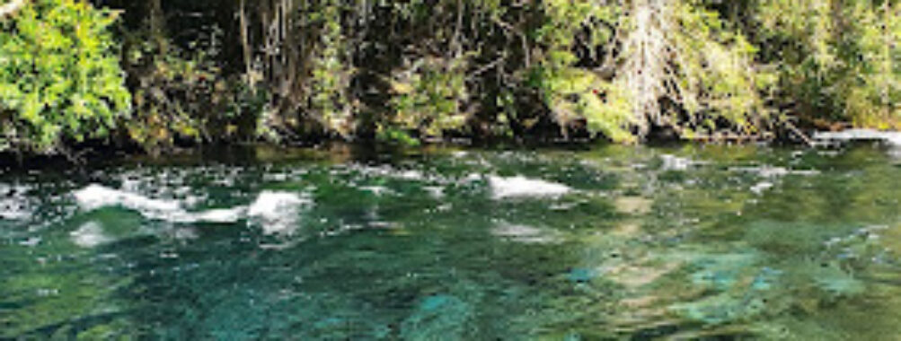 Caburgua Travel Forum Reviews
