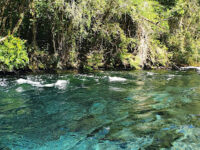 Caburgua Travel Forum Reviews