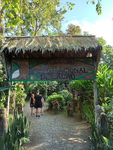Cacao Trails - Museo de Cacao