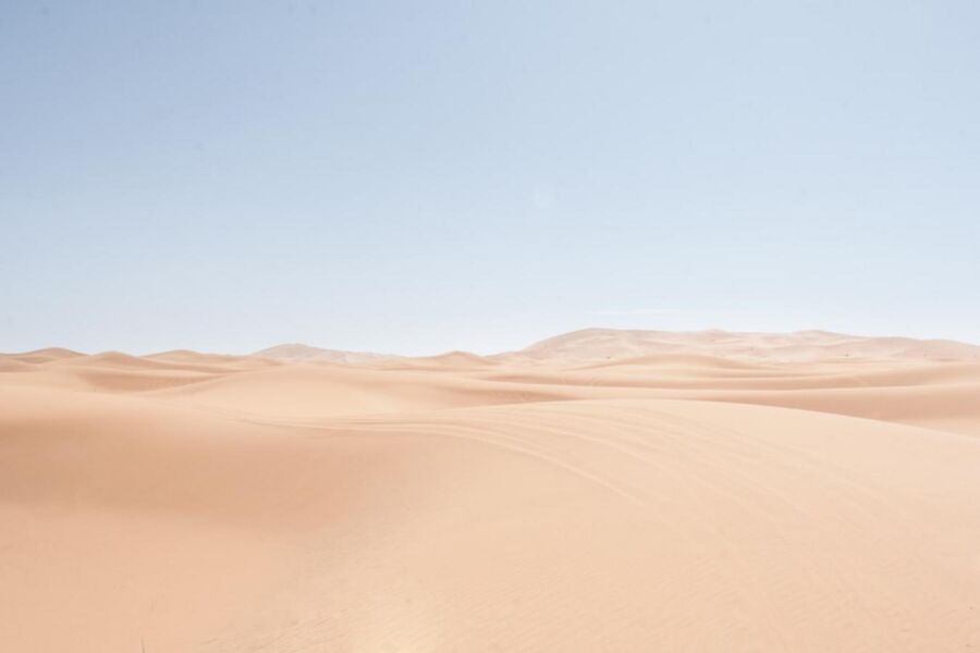 Cairo Desert Night with Bedouin Dinner and Show Review