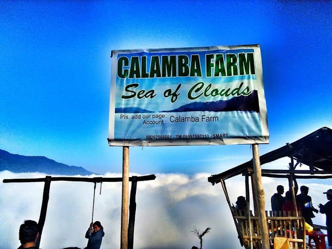 Calamba Farm Sea of Clouds Maragusan