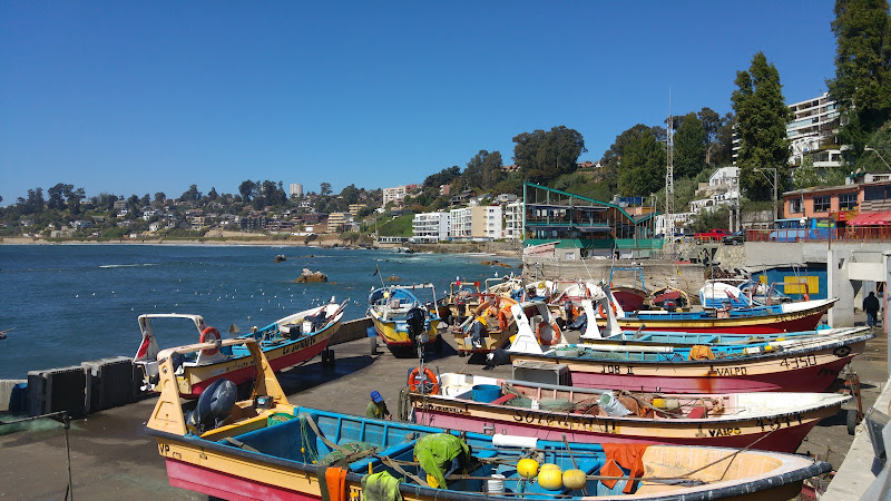 Caleta Higuerillas