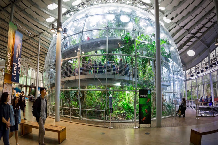 calacademy.org