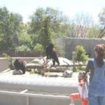 California Living Museum (CALM)