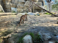 California Living Museum (CALM) Travel Forum Reviews