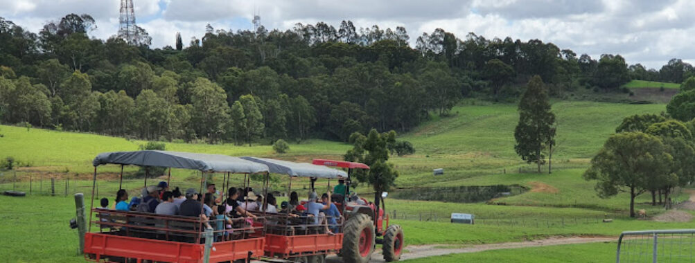 Calmsley Hill City Farm Travel Forum Reviews