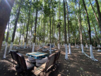Calyptus Park Travel Forum Reviews