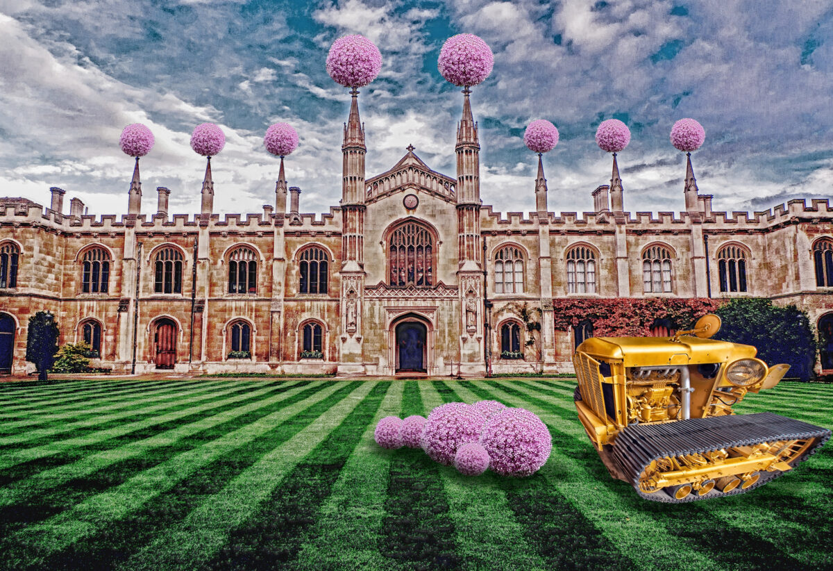 Family walking tour in Cambridge with a guide Review