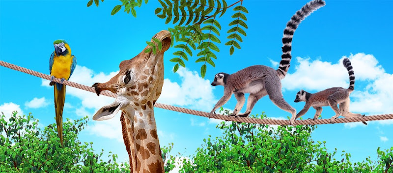 Cameron Park Zoo