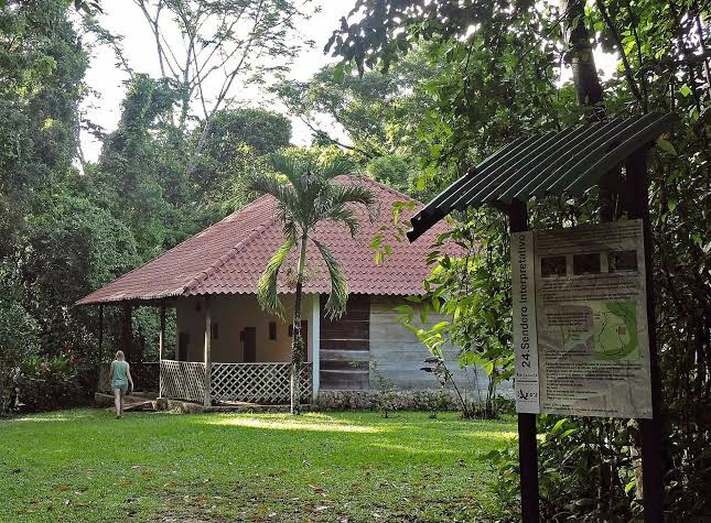 Campamento Río Lacanjá | Reserva Selva Lacandona