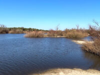 Campamento de Artigas Travel Forum Reviews